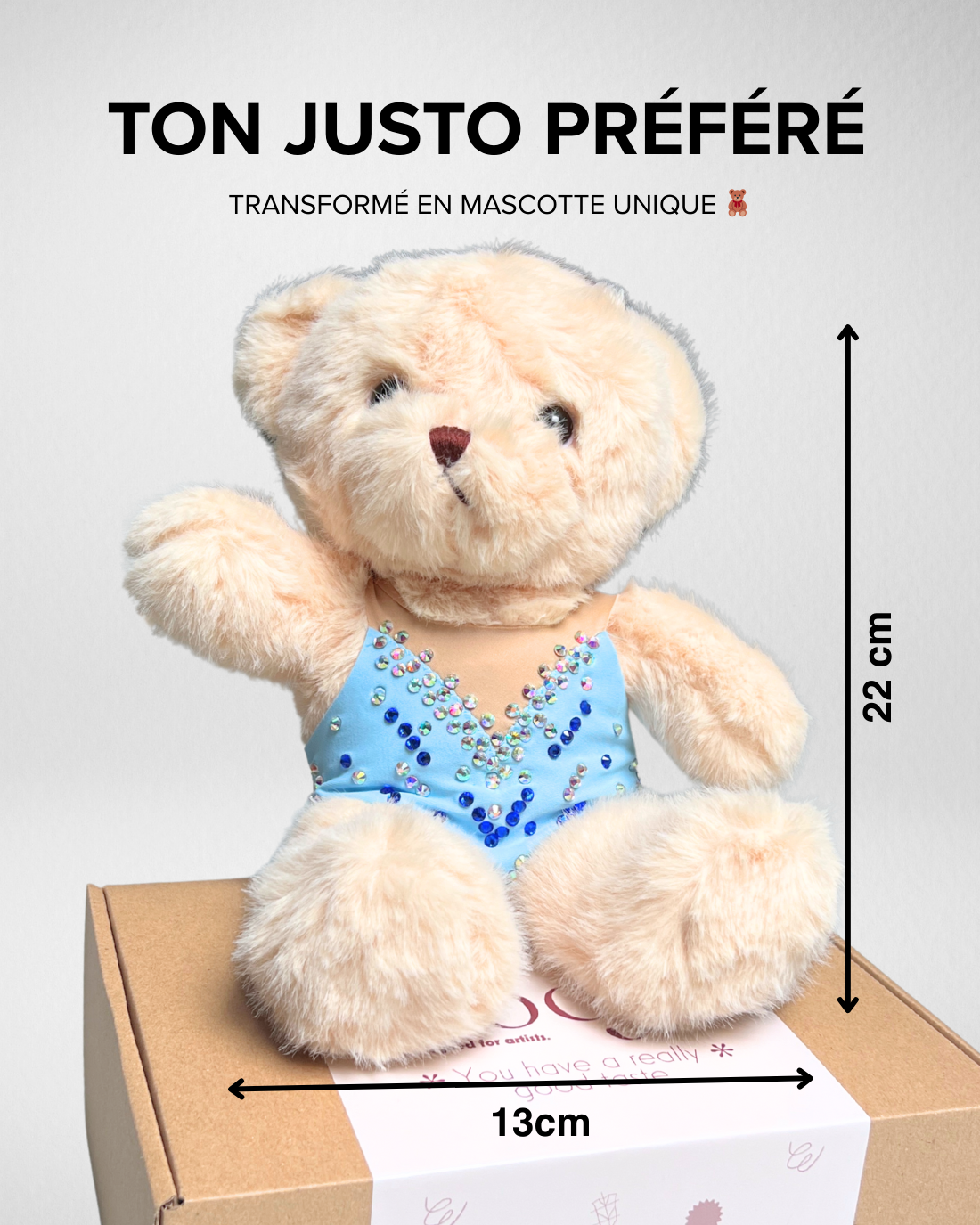 Mascotte Personnalisée